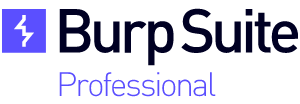 Burp Suite Professional 2022.12.0 Crack + Torrent Free Download
