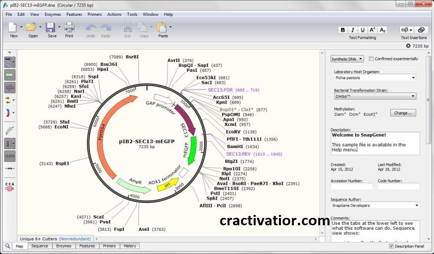 SnapGene 6.2.2 Crack + License Key 100% Working [2023]